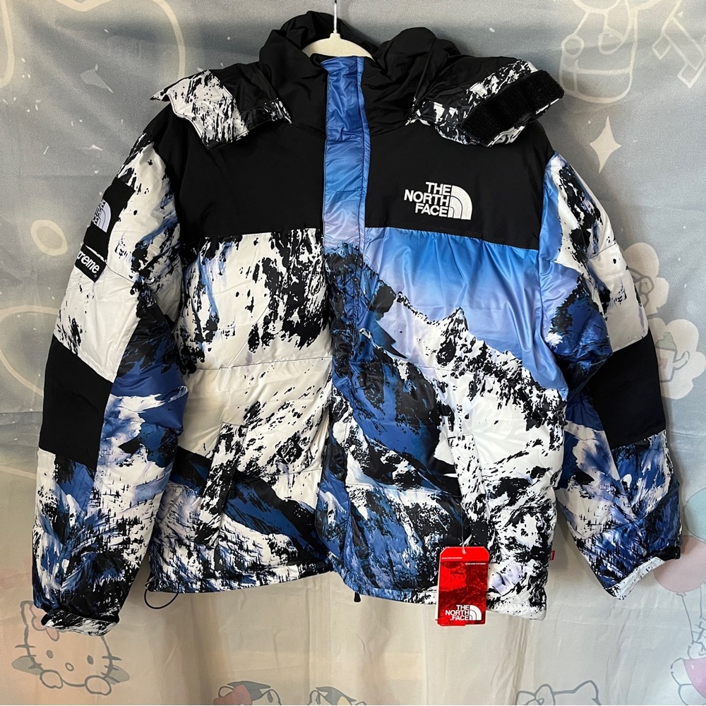 Supreme x The North Face Snow Mountain Print Down Jacket